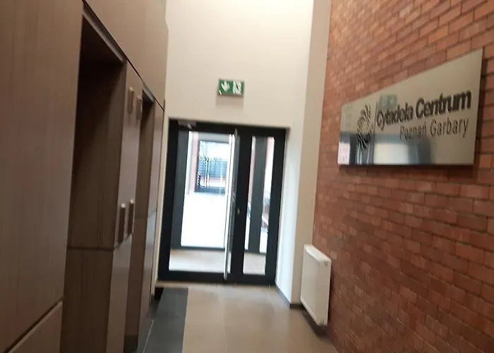 Apartment Msapartamenty Centrum 2 Poznan